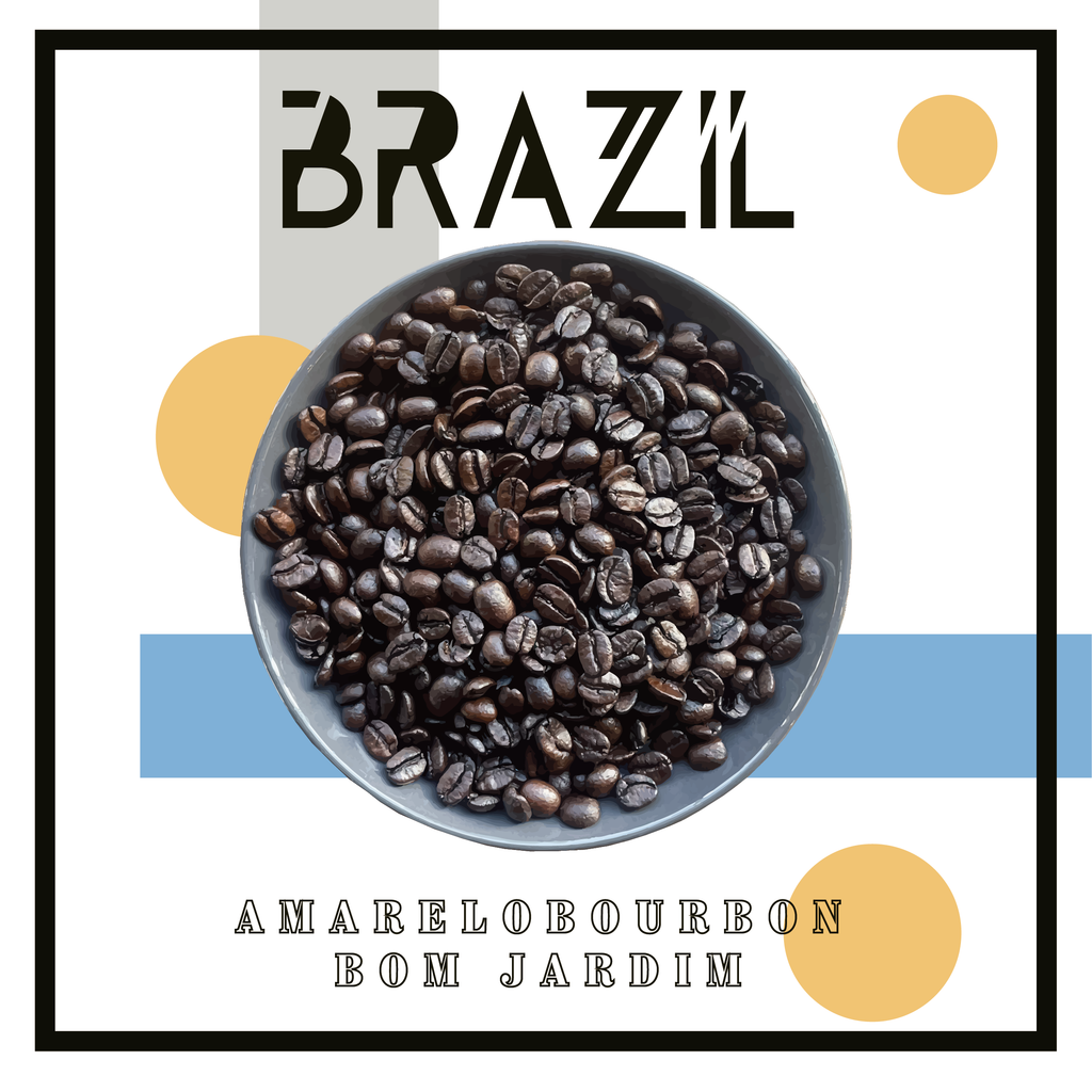 〈 New beans 〉ブラジル - ブルボンアマレロ ボンジャルディン農園